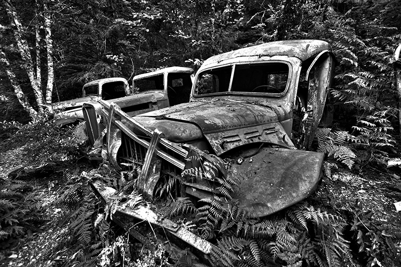 Black and White Abandoned Car In Forest Landscape Photo 26 NV Holden Photography